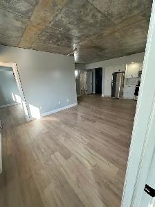 New Two Bedroom Two Bathroom in Minnow Lake - Photo 5