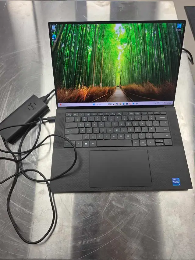 Xps Dell laptop
