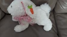 BEAU LAPIN NEUF BLANC ROSE DE 12'LONGx8'HAUT  SUPER-DOUX: $10.00 - Photo 2