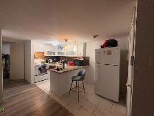 ANNEX 2 Bedroom Lower Level - Photo 3