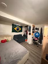 ANNEX 2 Bedroom Lower Level - Photo 7