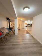 ANNEX 2 Bedroom Lower Level - Photo 11
