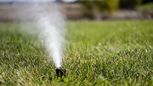 Sprinkler Blowouts