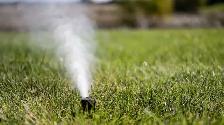 Sprinkler Blowouts