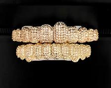 Iced Out Gold Grillz Set (Hip Hop Bling)