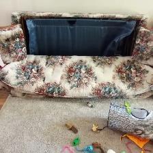Disabled Woman in Need of Affordable Junk Removal. - Photo 3