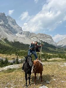 2021 GREY GELDING - Photo 5