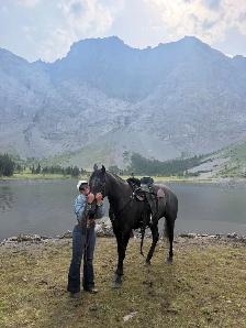 2021 GREY GELDING - Photo 6