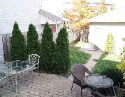 Nice rooms in house for rent, Close to Baseline and Greenbank - Photo 5