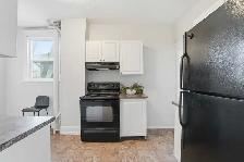 4 Bed 1 Bath House for Rent - Photo 4