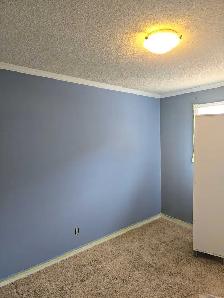 professional painters available - Photo 2