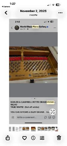 Kohlet & Campbell petite Grand Piano - Photo 6