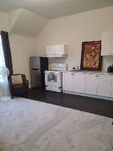 FULLY FURNISHED ONE BEDROOM COZY  APARTMENT FOR RENT IN WHITBY - Photo 6