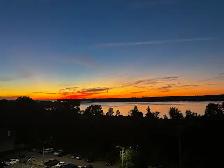 sublet furnished 1 bedroom apartment