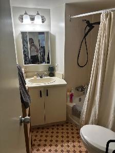 sublet furnished 1 bedroom apartment - Photo 4
