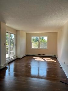 2 bedroom & den available for October 1st