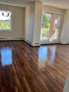 2 bedroom & den available for October 1st - Photo 2
