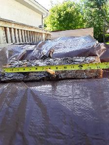 TRANSCONA Ready to Burn Spruce Firewood for Sale - Photo 2
