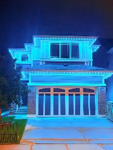 Permanent Outdoor Lights - Halloween Ready - Free Quote - Photo 9
