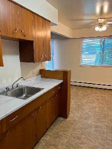 1 bedroom apartment - NOW SHOWING! - Photo 2
