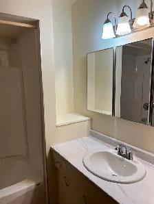 1 bedroom apartment - NOW SHOWING! - Photo 7