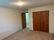 1 bedroom apartment - NOW SHOWING! - Photo 8
