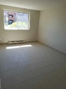 $2400 – Renovated 3-bedroom apartment for Rent - Photo 7