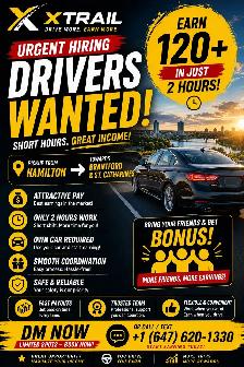 Hamilton driver