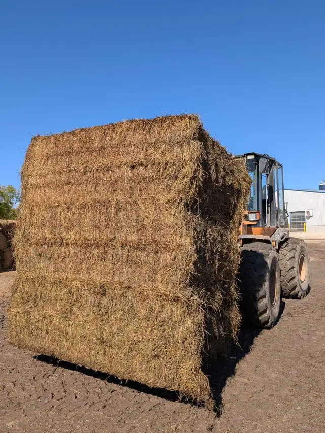 Alfalfa Hay for Sale