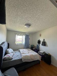 HOUSE( 3 BHK UPPER FLOOR) FOR RENT IN MALTON - Photo 2