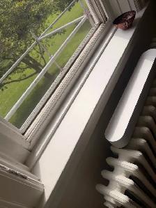 Affordable Cleaning Ottawa | E&S Signature Cleaning - Photo 4