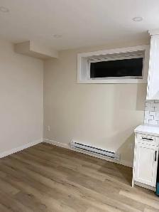 Brighton newly finished 1 bedroom legal basement suite - Photo 8