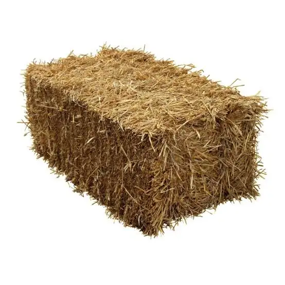 Straw For Sale