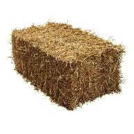 Straw For Sale