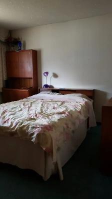 Large Mainfloor Bedroom for Rent - Female only - Photo 3