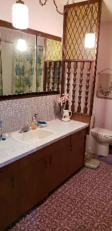 Large Mainfloor Bedroom for Rent - Female only - Photo 4
