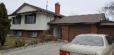 Large Mainfloor Bedroom for Rent - Female only - Photo 5