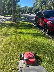 Lawn care and maintenance