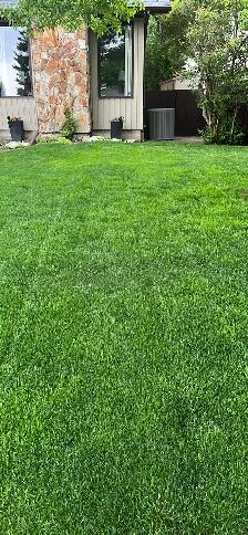 Lawn care and maintenance - Photo 2