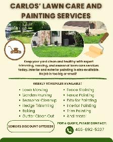 Lawn care and maintenance - Photo 3