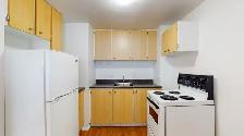 285 Loretta Ave S – 1 Bedroom Apartment Nov 1st Move in - Photo 5