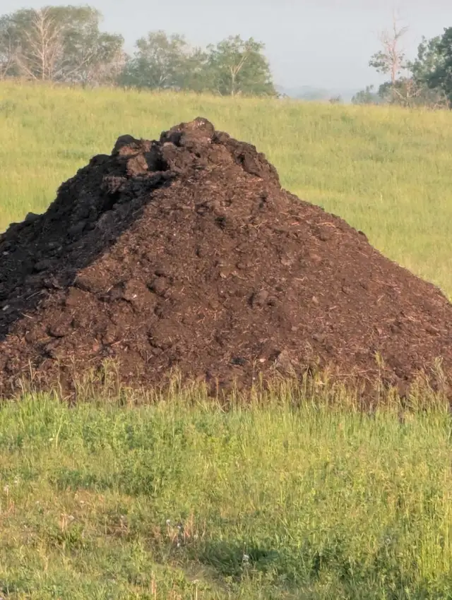 Composted sheep manure