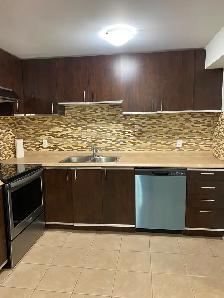 3-bedroom basement apartment in the heart of Mississauga - Photo 9