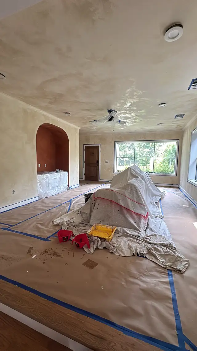 Professional Painting Services