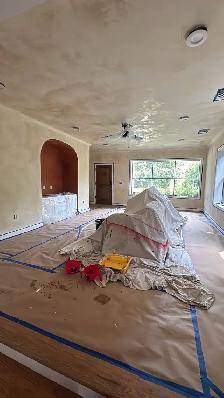 Professional Painting Services