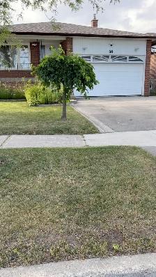 Single room for rent – ​​Sheppard / Victoria Park - Photo 7
