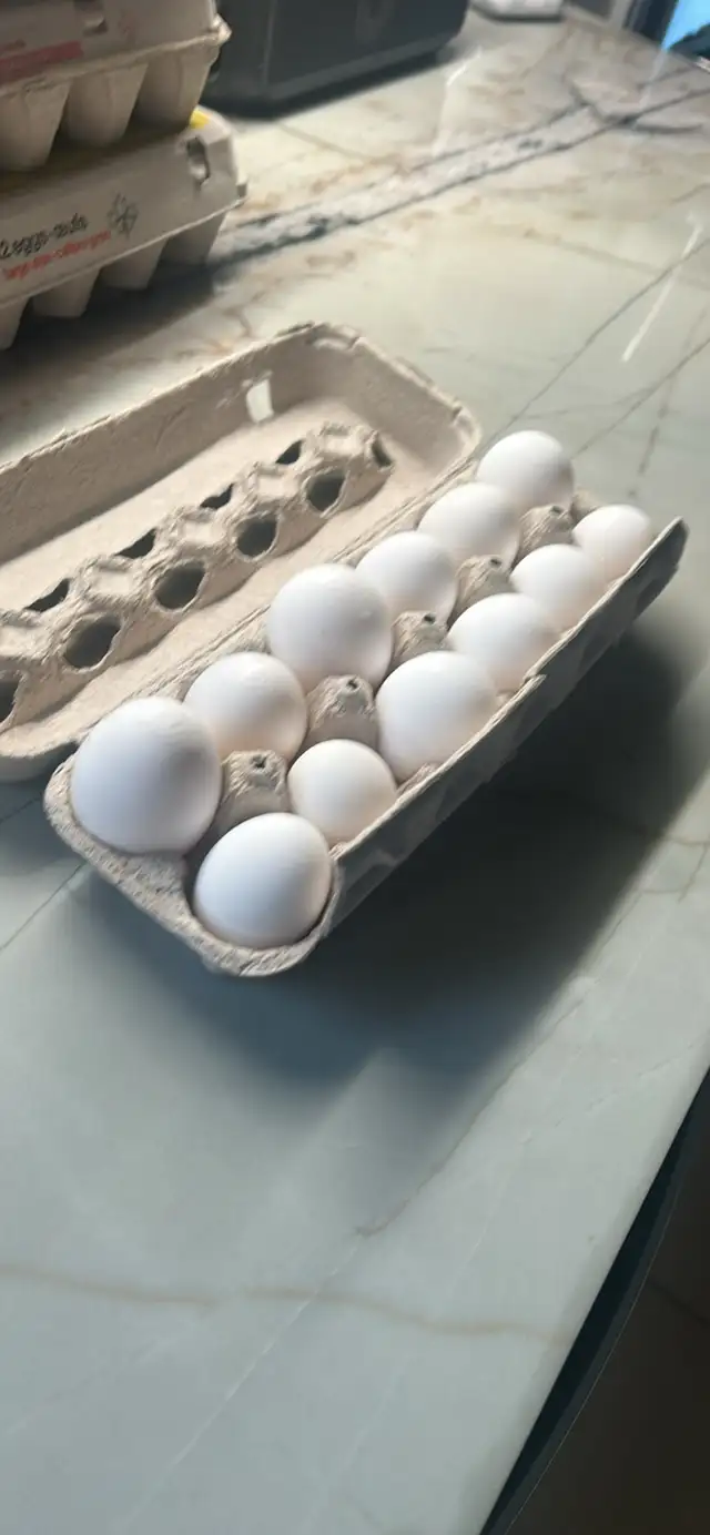 Farm Fresh Eggs