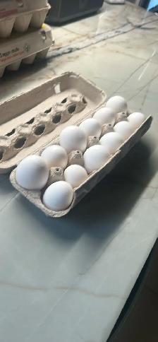 Farm Fresh Eggs