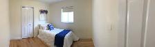 House for Rent in Guelph - Photo 4
