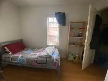 Room for rent at York University/Seneca College - Photo 2